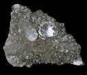 Chalcopyrite & Calcite Specimen - Missouri #35106-1